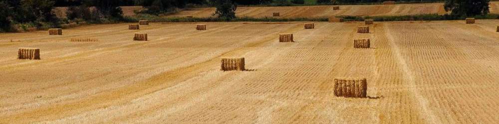 Bale Wrapping