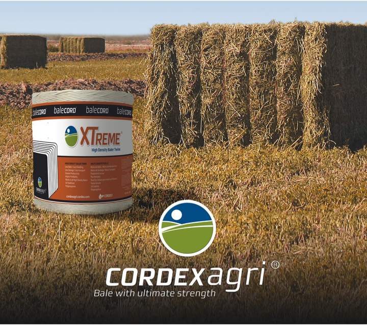 Cordex agri